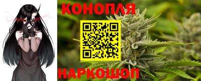 трава Гатчина