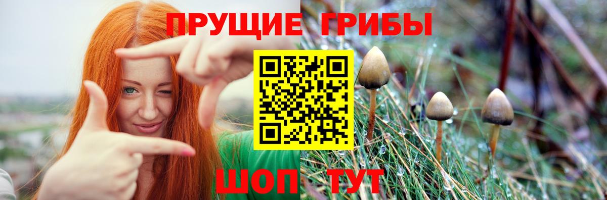 Трёхгорный  Псилоцибиновые грибы прущие грибы  Вход с VPN  Галлюциногенные грибы мицелий 